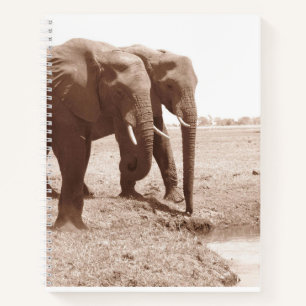 Deux Elephant Spiral Carnet College Règle