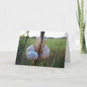 Deux escargots sur une carte à puce (Devant)