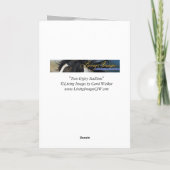 Deux étalons tziganes - Carte de voeux (Dos)