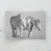 Deux étalons tziganes - Carte de voeux (Intérieur)