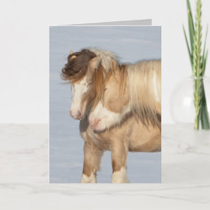 Deux étalons tziganes - Carte de voeux