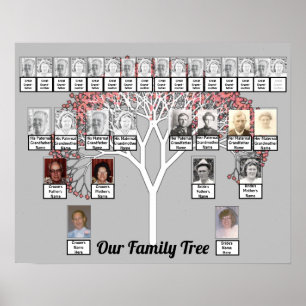 Deux Familles Arbre Fractale Gris Photo Nom Poster