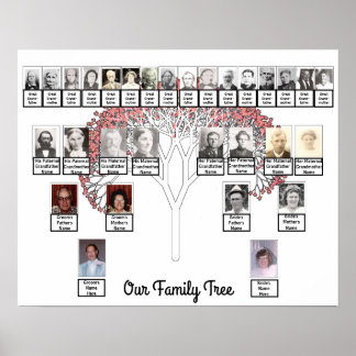 Deux Familles Arbre Fractale Rose Photo Nom Poster