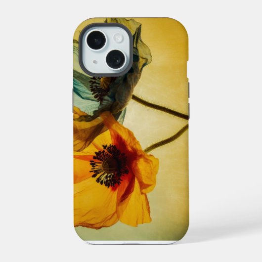 Deux fleurs  (Verso)