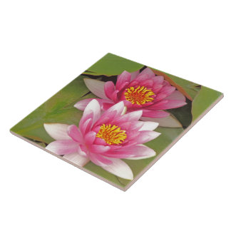 "DEUX FLEURS DE LOTUS ROSES" carreau décoratif