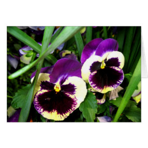 Deux fleurs de pensée - carte