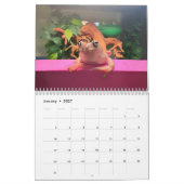 Deux grenouilles vertes Calendrier 2024 (Jan 2027)