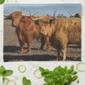 Deux Grosses Vaches Brown Highland, Serviette de p (Plié)