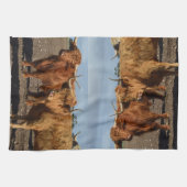 Deux Grosses Vaches Brown Highland, Serviette de p (Horizontal)