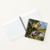 Deux hiboux dans les bois, oiseaux, cahier faune e (Intérieur)