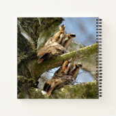 Deux hiboux dans les bois, oiseaux, cahier faune e (Dos)