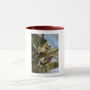 Deux hiboux dans les bois, oiseaux, faune Tasse