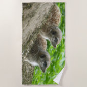 Deux Jolies serviettes de plage Meerkats (Devant)