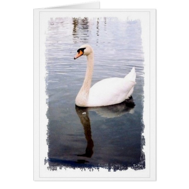 Deux legs durables (Devant)