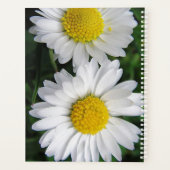 Deux marguerites blanches (Dos)