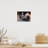 Deux mignonnes affiches de chiots à l'effigie (Cuisine)