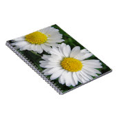 Deux mignons carnets de marguerites blanches (Côté Droit)
