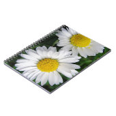 Deux mignons carnets de marguerites blanches (Côté gauche)