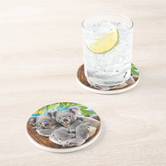 Deux mignons Dessous de verre d'ours Koala (Côté)