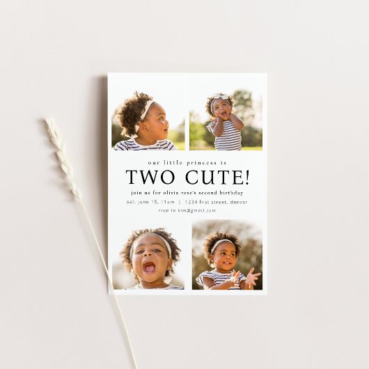 Deux mignons deuxième Invitation d'anniversaire av