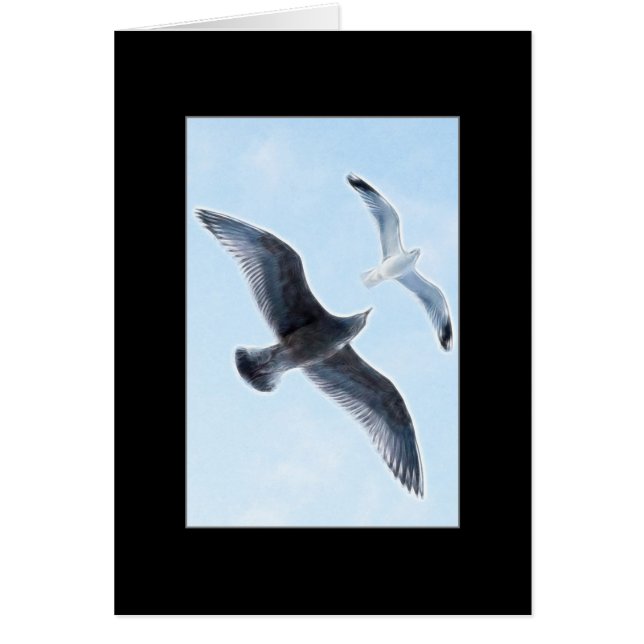 Deux mouettes (Devant)