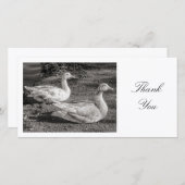 Deux oies - Merci (Devant / Derrière)