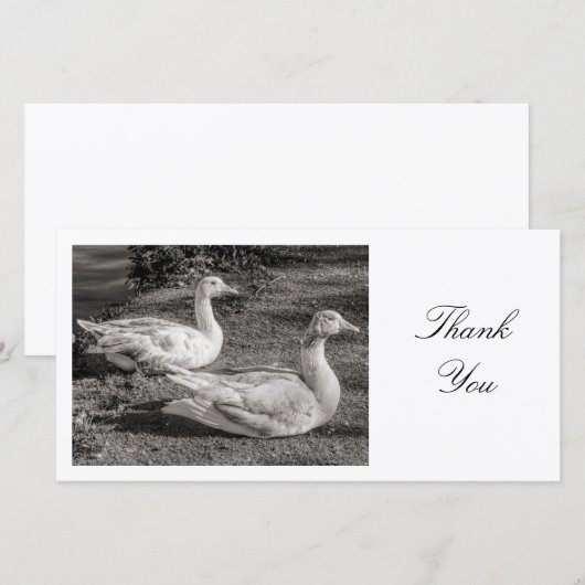 Deux oies - Merci (Devant / Derrière)