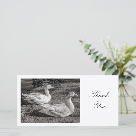 Deux oies - Merci (Debout devant)