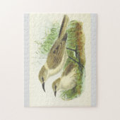 Deux oiseaux au puzzle du sol (Vertical)