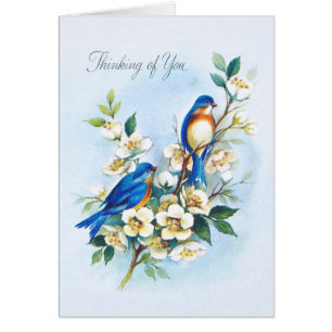 Deux oiseaux bleus