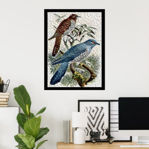 Deux oiseaux coucous colorés dans une affiche text