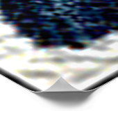 Deux oiseaux de cacao de couleur dans une affiche (Coin)