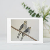 Deux oiseaux gris jaune Carte de remerciement plat (Debout devant)