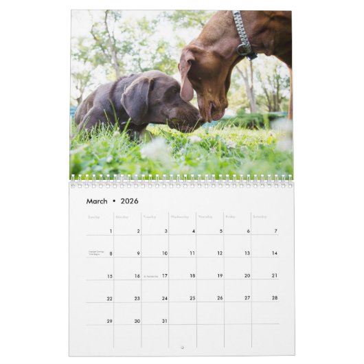 Deux page, milieu, calendrier blanc (Mar 2026)