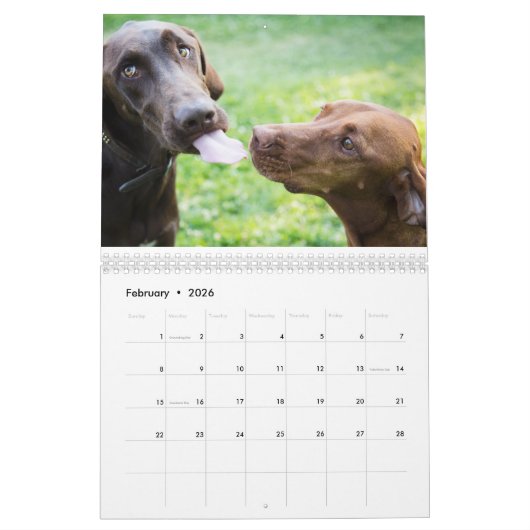 Deux page, milieu, calendrier blanc (Feb 2026)