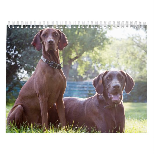 Deux page, milieu, calendrier blanc (Protection)