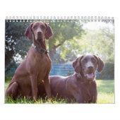 Deux page, milieu, calendrier blanc (Protection)