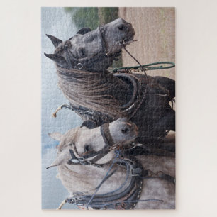 deux percheron au puzzle