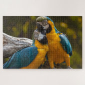 Deux perroquets Oiseaux tropicaux Puzzle (Horizontal)