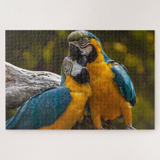 Deux perroquets Puzzle tropical oiseaux (Horizontal)
