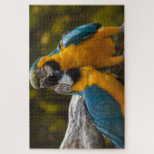 Deux perroquets Puzzle tropical oiseaux (Vertical)