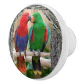 Deux perroquets sur un bouton de porte en (Droite)