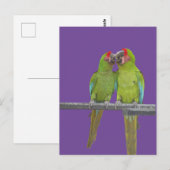 Deux Perroquets Vertes Poussent. Carte postale do- (Devant / Derrière)