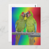 Deux perroquets verts Rainbow do-it-yourself carte (Devant / Derrière)