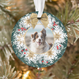 Deux photos Festif de Noël Fête de neige Fluge ver