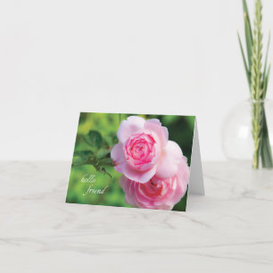 Deux Pink Roses, carte blanche