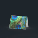 Deux Plumes Peacock Bleu Mariage Merci Cartes<br><div class="desc">Des cartes de remerciement étonnantes pour correspondre aux deux plumes de paon bleu faire-part de mariage. Les couleurs bleues vives des plumes font une image remarquable qui a été prise avec un objectif oeil de poisson. Faites de vos cartes de remerciements parfaites pour votre mariage paon.</div>