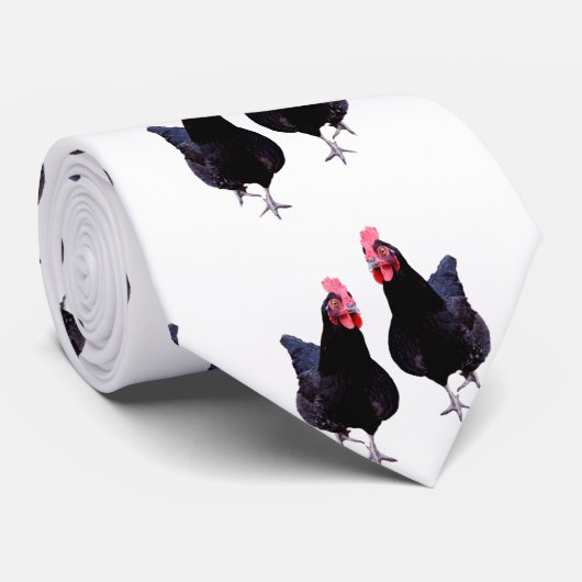 Deux poulets noirs à découper, Cravate (Roulé)