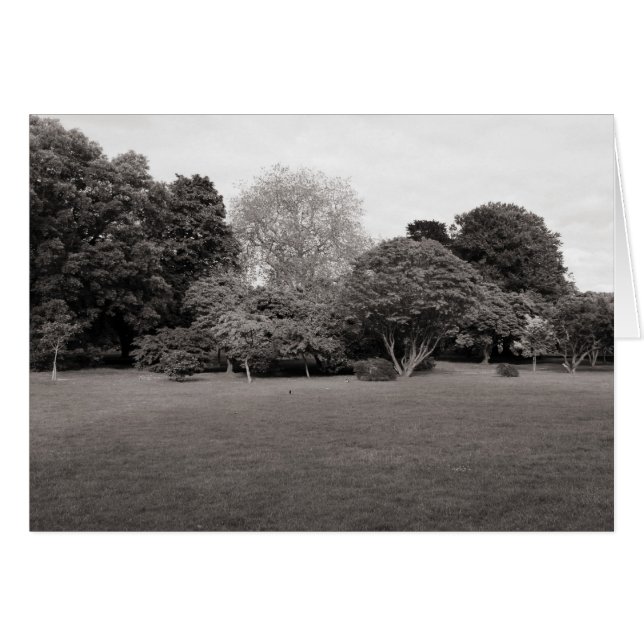 Deux pour Joy (Warm Toned BW) (Devant horizontal)