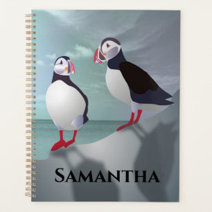 Deux Puffins